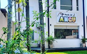 Posada Del Angu